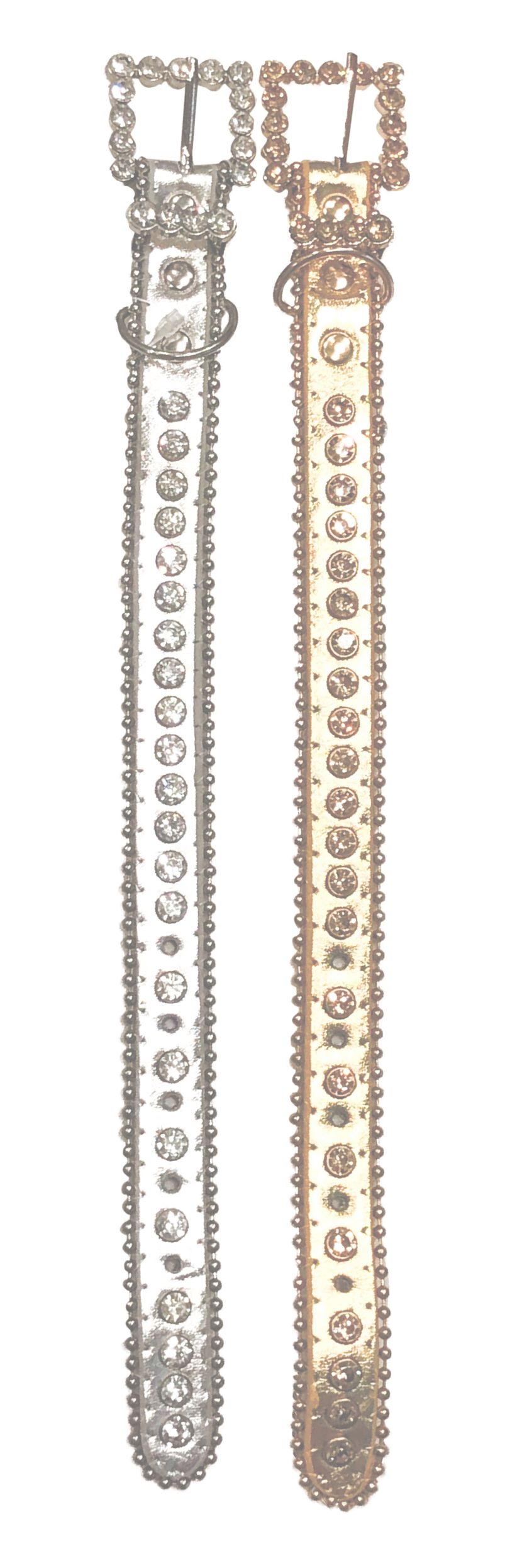 Southern Paws Collar.jpg